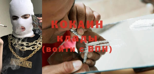 гидра Каменка
