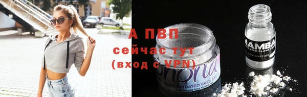 MESCALINE Покачи