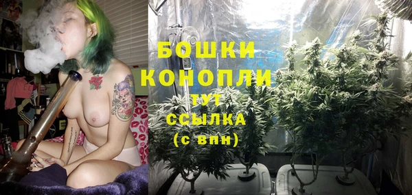 индика Переславль-Залесский