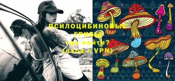 mdpv Дмитров