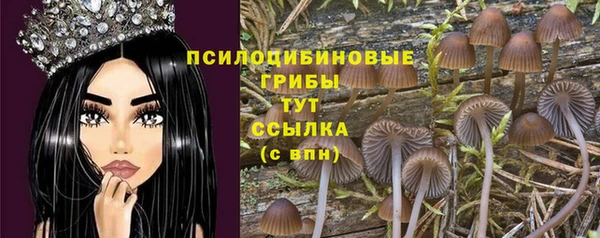 марки lsd Дмитровск