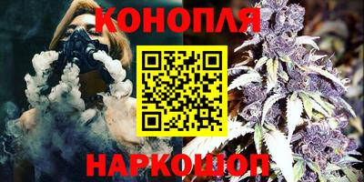 гидра Будённовск