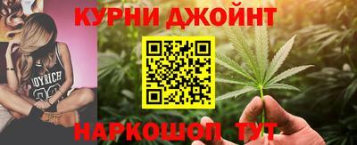 гидра Будённовск