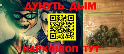 сатива Будённовск