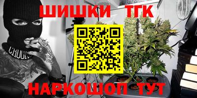 гидра Будённовск