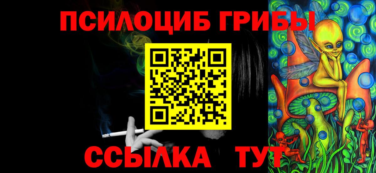 купить наркотики цена  Псилоцибиновые грибы Cubensis  Вход с VPN  Большой Камень 